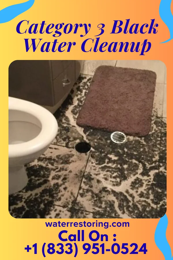 Category 3 Black Water Cleanup in St. John, IN
