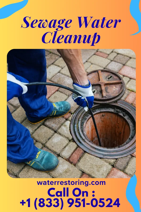 Sewage Water Cleanup in St. John, IN