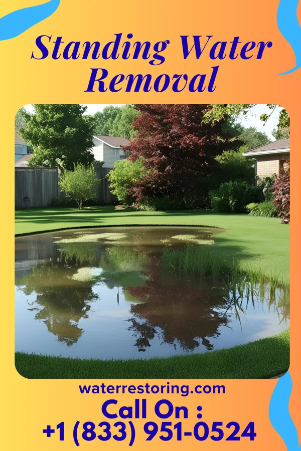Standing Water Removal in St. John, IN